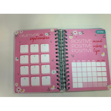 AGENDA 2025 DIARIA ESTE AÑO SUEÑO, PLANIFICO Y ACT