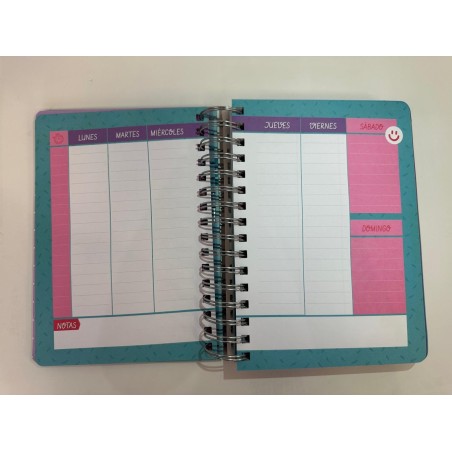 AGENDA 2025 DIARA ESTE AÑO VOY CON TODO