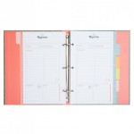 LIBRO DE RECETAS CON CHISPA PARA TU DÍA A DÍA