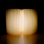 LIBRO LUZ QUE TODO LO BUENO