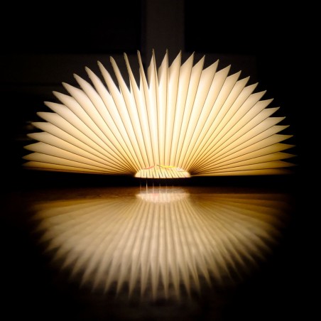 LIBRO CON LUZ EL MUNDO NECESITA