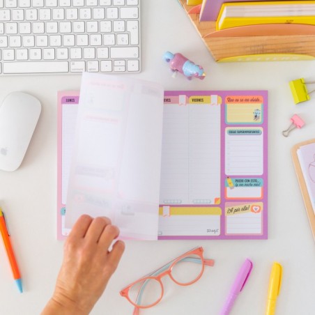 ORGANIZADOR SEMANAL PARA LOGRAR TODO