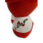 PELUCHE CORAZON CON PIES