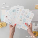 ÁLBUM - 9 MESES Y UN MONTÓN DE MOMENTAZOS POR VIVIR