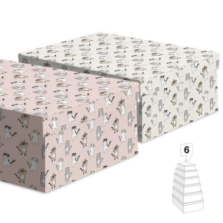 CAJA GATOS N3