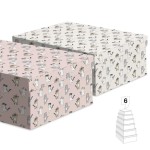 CAJA GATO N5