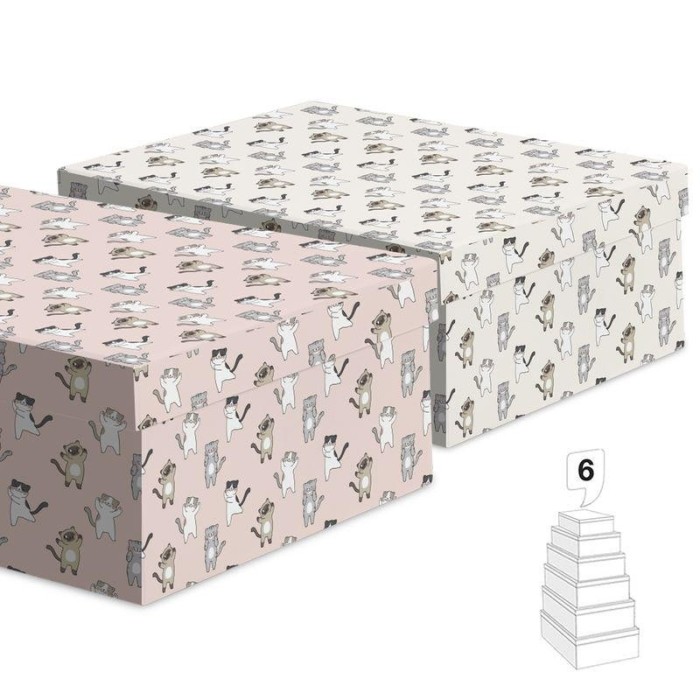 CAJA GATO N6