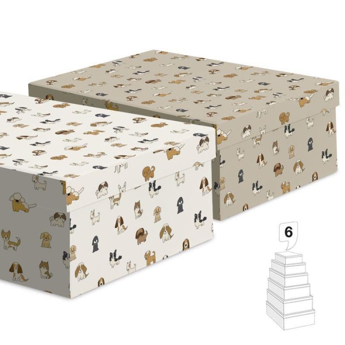CAJA PERRO N4