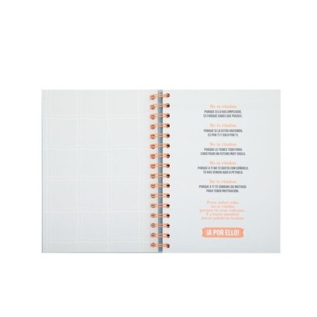 PLANIFICADOR PARA OPOSITORES - CADA OPO CON SU TEM