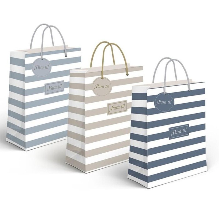 BOLSA PAPEL L RAYAS