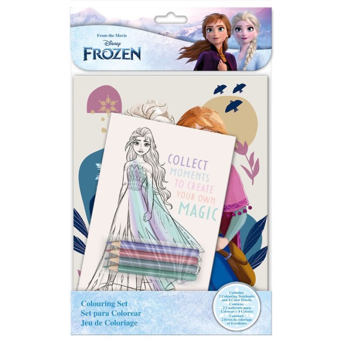 SET DE COLOREAR FROZEN