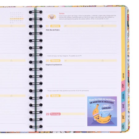 AGENDA BO-BO 2025-26 SEMANAL - RISAS, BOBADAS Y AV