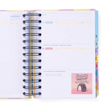 AGENDA WONDER PEQUEÑA 2025-26 DIARIA - GRAN DÁ A L