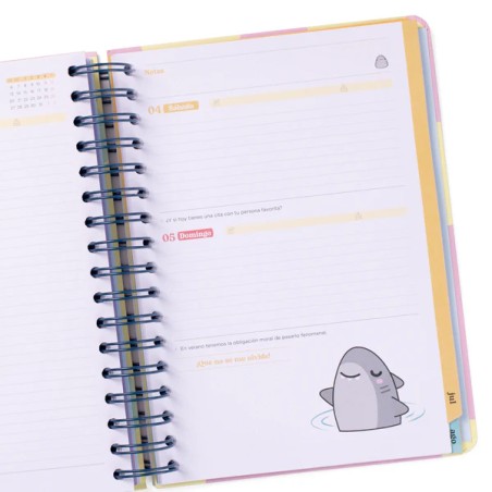 AGENDA WONDER 2025-26 DIARIA - GRAN DÍA A LA VISTA