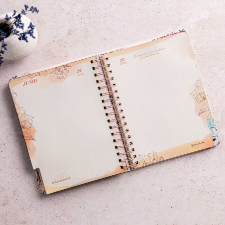 AGENDA ESCOLAR DIARIA 2025/2026 LVR