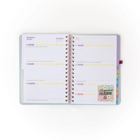 SET AGENDA WONDER PEQUEÑA 2026 SEMANAL - OBJETIVO