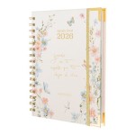 AGENDA ANUAL SEMANAL - RAQUEL BECK