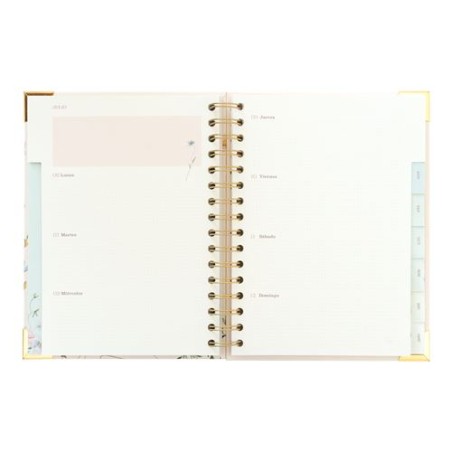 AGENDA ANUAL SEMANAL - RAQUEL BECK