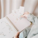 AGENDA ANUAL SEMANAL - RAQUEL BECK