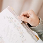 AGENDA ANUAL SEMANAL - RAQUEL BECK