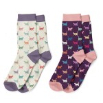 CALCETINES GATOS