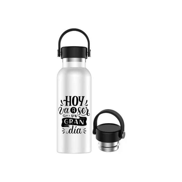 TERMO 500 ML - HOY VA A SER UN GRAN DIA