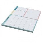 PLANIFICADOR SEMANAL CON NOTAS ADHESIVAS - ESTA SE