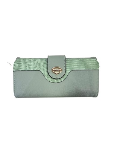 CARTERA VERDE