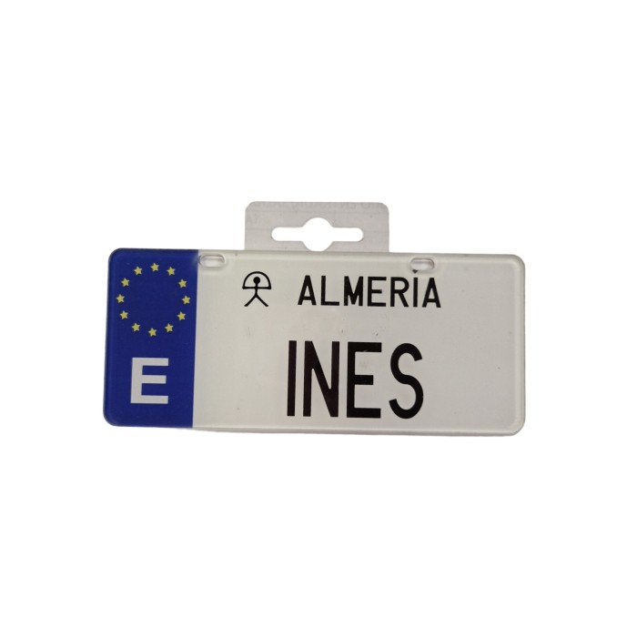 MATRICULA INES