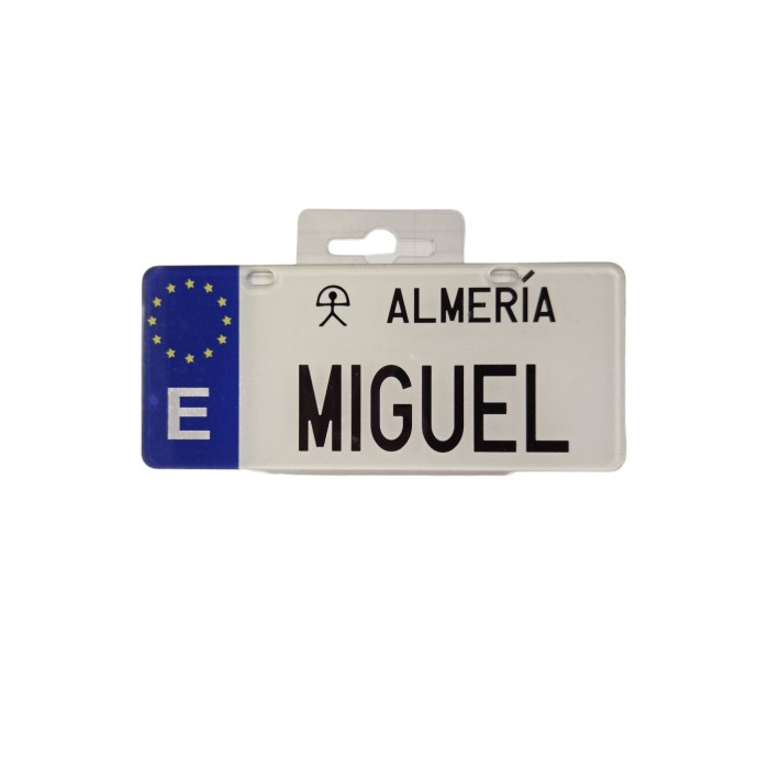 MATRICULA MIGUEL