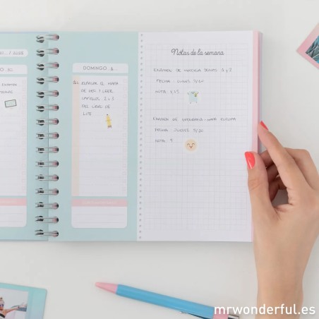 PLANIFICADOR DE ESTUDIO PARA QUE NO SE TE PASE