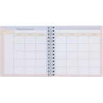 PLANIFICADOR DE ESTUDIO ESTE CURSO VOY