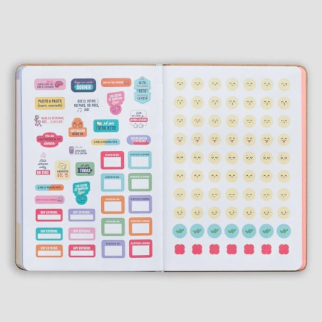 PLANIFICADOR DE VIDA SANA - VOY A CUIDARME