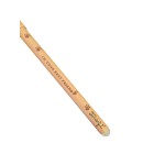 BOLIGRAFO BORRABLE - LION