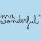 MR. WONDERFUL